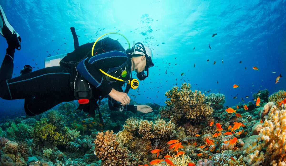 Excursión de buceo en Hurghada